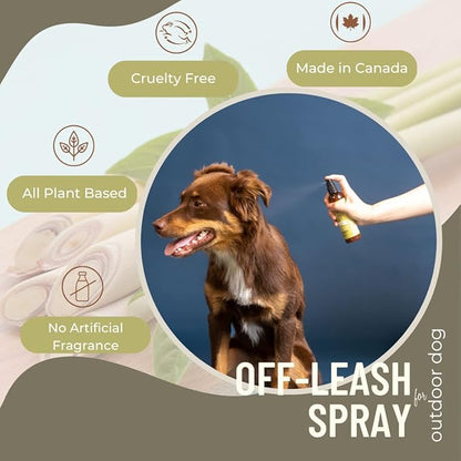 Deodorizer Spray: Lemongrass & Mint Dog Outdoor Grooming Spray - Puppy Body Perfume Spray Freshener Made in Canada