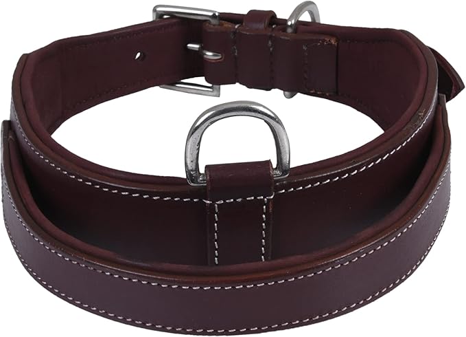 Leather Dog Collar with Handle, 2 Inch Wide Saddle Grade Cherry Leather Dog Collar for Medium Dogs | Heavy Duty, Comfortable, Inner Soft Padded | (M (Fit Neck Size 14.5"-18.5"), Cherry)