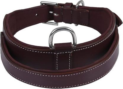 Leather Dog Collar with Handle, 2 Inch Wide Saddle Grade Cherry Leather Dog Collar for Medium Dogs | Heavy Duty, Comfortable, Inner Soft Padded | (M (Fit Neck Size 14.5"-18.5"), Cherry)