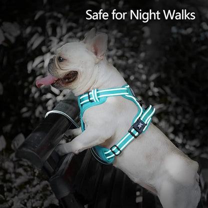PoyPet No Pull Dog Harness, No Choke Reflective Dog Vest, Adjustable Pet Harnesses with Easy Control Padded Handle for Small Medium Large Dogs(Mint Blue Matching Trim,L)