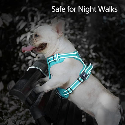 PoyPet No Pull Dog Harness, No Choke Reflective Dog Vest, Adjustable Pet Harnesses with Easy Control Padded Handle for Small Medium Large Dogs(Mint Blue Matching Trim,S)