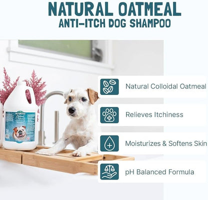 Bio-Groom Oatmeal Dog Shampoo – for Allergies and Itching, Cruelty-Free, Dog Bathing Supplies, Puppy Shampoo for Sensitive Skin, Made in USA, Anti-Itch Dog Products – 32 fl oz 1-Pack