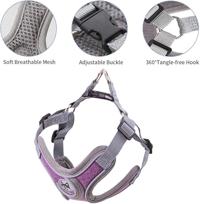 Step-in Dog Harness, Adjustable Reflective Small Dog Harness and Leash Set, Soft Air Mesh Vest Kit for Small Medium Breed Puppy and Cats