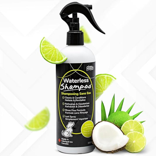 Dog Dry Shampoo, Waterless Dog Shampoo, Dry Shampoo for Dogs by EnviroFresh, Waterless Pet Shampoo for Dogs and Cats - Dog Perfume, Dog Deodorizing Spray, Dry Shampoo, Cat Grooming (12 oz.)