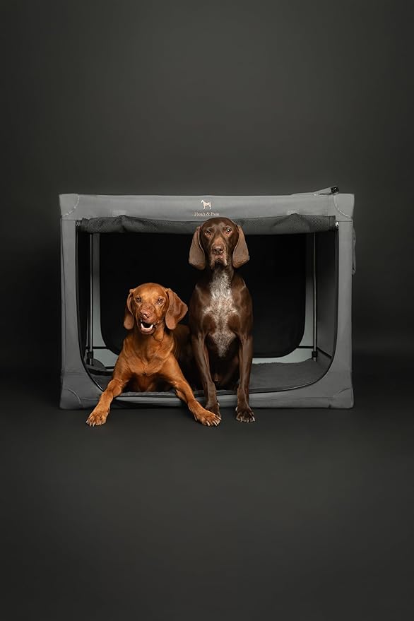 Noah & Paw Collapsible Dog Crate 36 Inches, XL Dog Crate for XL, Large Medium Breed, Travel Kennel for Car, Includes Pet Mat for Pet Cage, 2 Storage Pockets, Handbag, 10mm Locking Zippers 36*25*23