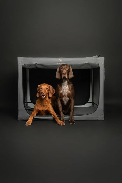 Noah & Paw Collapsible Dog Crate 36 Inches, XL Dog Crate for XL, Large Medium Breed, Travel Kennel for Car, Includes Pet Mat for Pet Cage, 2 Storage Pockets, Handbag, 10mm Locking Zippers 36*25*23