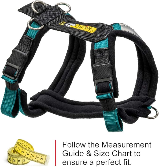 Urban Trail Adjustable Harness (Medium, Teal)