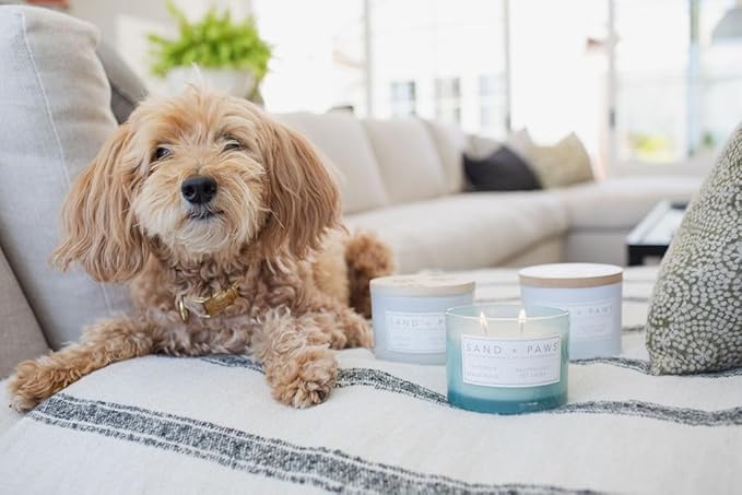 Sand + Paws Scented Candle - California Beach House –Luxurious Air Freshening Jar Candle Neutralize pet Odors and Enhance Home décor – 100% Cotton Lead-Free wicks-12oz