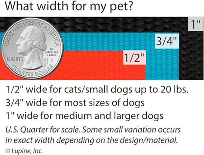 LupinePet Originals 3/4" Dapper Dog 20-32" Adjustable Roman Dog Harness for Medium Dogs