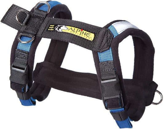 Urban Trail Adjustable Harness