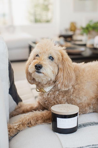 Sand + Paws Scented Candle - California Beach House–Luxurious Air Freshening Jar Candles Neutralize pet Odors and Enhance Home décor – 100% Cotton Lead-Free Wicks - 12oz
