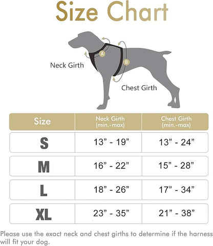 rabbitgoo Dog Harness, No-Pull Pet Harness with 2 Leash Clips, Adjustable Soft Padded Dog Vest, Reflective No-Choke Pet Oxford Vest with Easy Control Handle for Large Dogs, Beige, L