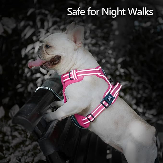 PoyPet No Pull Dog Harness, No Choke Reflective Dog Vest, Adjustable Pet Harnesses with Easy Control Padded Handle for Small Medium Large Dogs(Pink Matching Trim,XS)