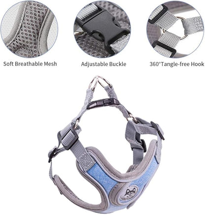Step-in Dog Harness, Adjustable Reflective Small Dog Harness and Leash Set, Soft Air Mesh Vest Kit for Small Medium Breed Puppy and Cats