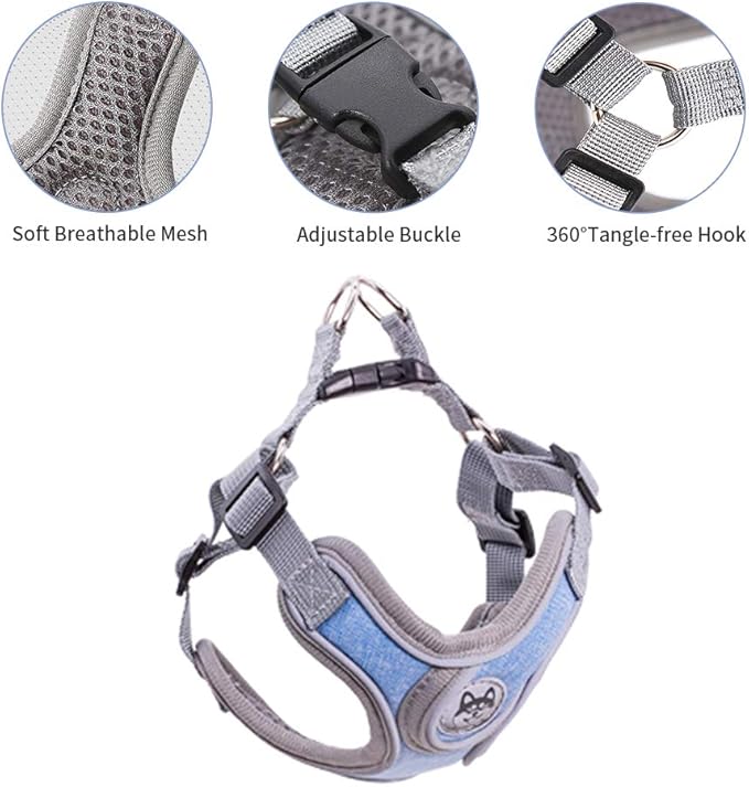 Step-in Dog Harness, Adjustable Reflective Small Dog Harness and Leash Set, Soft Air Mesh Vest Kit for Small Medium Breed Puppy and Cats (XS, Blue)
