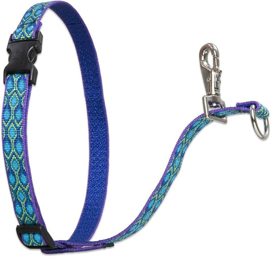 LupinePet Originals 3/4" Rain Song 16-26" No Pull Harness for Small-Medium Dogs
