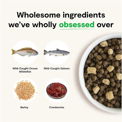 Open Farm RawMix Ancient Grains Wild-Ocean Recipe for Dogs, Includes Kibble, Bone Broth, and Freeze Dried Raw, Inspired by The Wild, Humanely Raised Protein and Non-GMO Fruits and Veggies, 20 lb