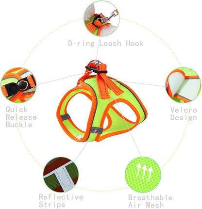 Soft Mesh Dog Harness and Leash Set, No-Chock Step-in Reflective Breathable Lightweight Easy Walk Escape Proof Vest Harnesses with Safety Buckle for Small Medium Dogs, Cats (Green, Medium)