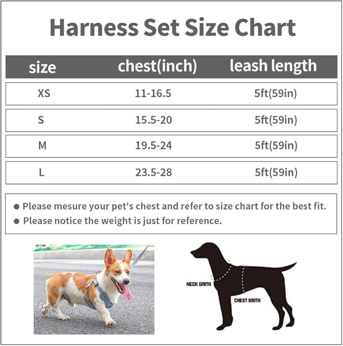 Step-in Dog Harness, Adjustable Reflective Small Dog Harness and Leash Set, Soft Air Mesh Vest Kit for Small Medium Breed Puppy and Cats (XS, Blue)