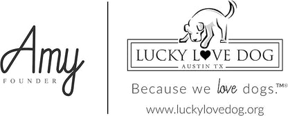 Lucky Love Dog, Whimsical Bird Dog Collar, Vivid Pink, Mint, Blue Flowers Large Dog Collar, Adjustable Collars for Female Male Dogs - (L, Carriebelle Collar)