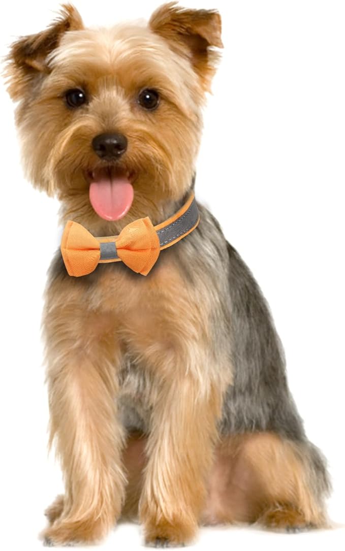 Dog Collar,Metal Buckle Pet Collar Suede Dog Collar Soft&Comfy Adjustable Pet Gift Collars with Bow for Small Medium Large Dogs (Medium, Gray&Yellow)