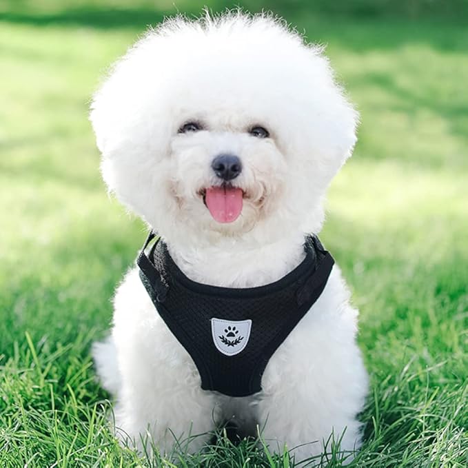 FEimaX Dog Harness and Leash Set for Walking, Soft Mesh Adjustable Easy Control Lightweight Cat Vest Harnesses with Reflective Strips, Escape Proof Small Dogs Cats Vests (Black, Small)