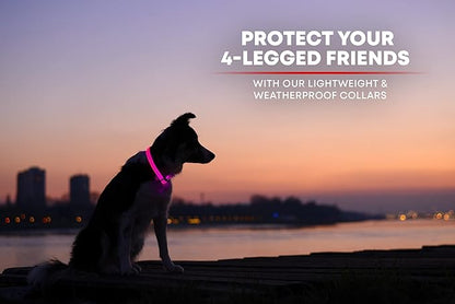 ILLUMISEEN LED Dog Collar USB Rechargeable - Bright & High Visibility Lighted Glow Collar for Pet Night Walking -Weatherproof, in 6 Colors & 6 Sizes (Pink Large)