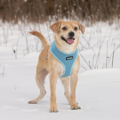 Voyager Aerolite No Pull Mesh Dog Harness with Lightweight, Soft, Breathable, Reflective Stitching, and Adjustable Straps for Walking, Running, Training, Heavy Duty and Durable - Baby Blue, S
