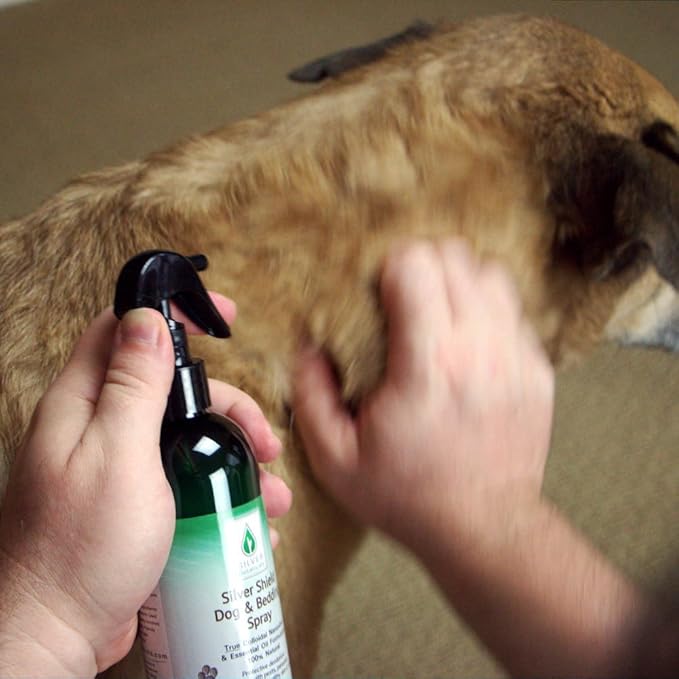 Silver Shield Dog & Bedding Spray | All Natural Colloidal Silver Dog Hygiene Spray
