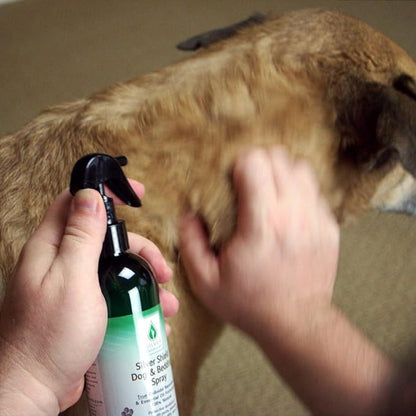 Silver Shield Dog & Bedding Spray | All Natural Colloidal Silver Dog Hygiene Spray