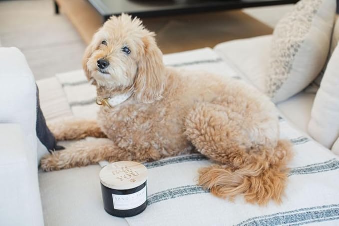 Sand + Paws Scented Candle - Teakwood - Additional Scents and Sizes –Luxurious Air Freshening Jar Candles Neutralize pet Odors and Enhance Home décor – 100% Cotton Lead-Free Wicks - 12 oz