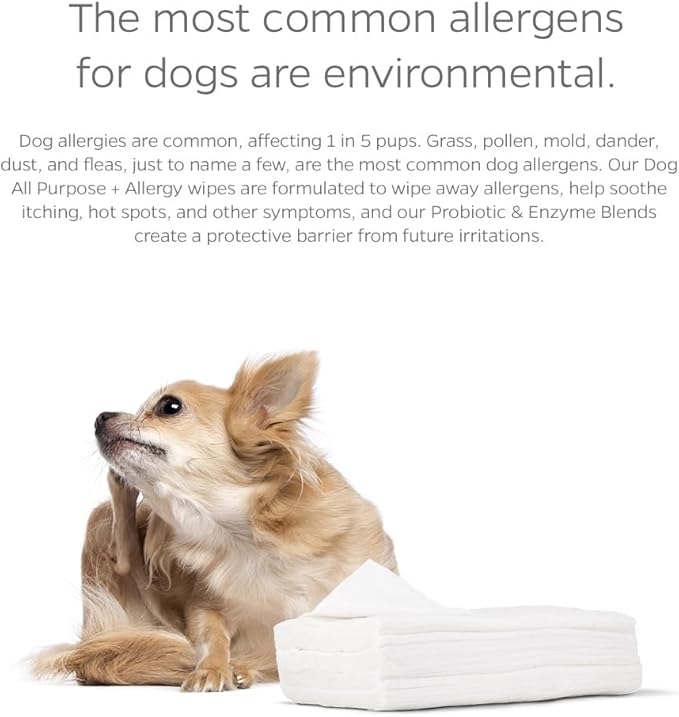 Pet Parents® Pet WiPees™ Dog All Purpose + Allergy Dog Wipes, Pet Wipes for Dogs, Puppy Wipes & Paw Wipes, Large Dog Wipes (100 Count (Pack of 2), Natural)