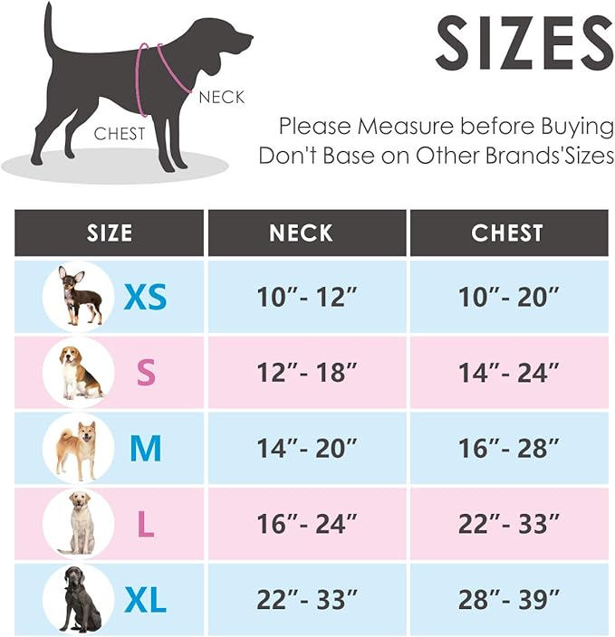 PHOEPET No Pull Dog Harness Reflective Adjustable Vest with a Training Handle, Name ID Pocket, 2 Metal Leash Hooks, 3 Snap Buckles [Easy to Put on & Take Off](XS, Baby Blue)