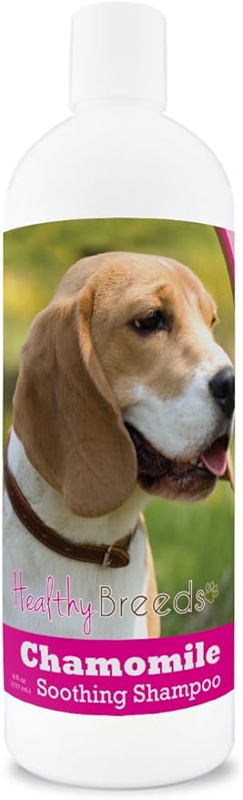 Healthy Breeds Beagle Chamomile Soothing Dog Shampoo 8 oz