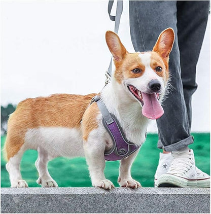 Step-in Dog Harness, Adjustable Reflective Small Dog Harness and Leash Set, Soft Air Mesh Vest Kit for Small Medium Breed Puppy and Cats