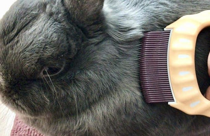 Philocomb E1 Soft (in English Package), a Gentle, Flexible Grooming Comb for Small Dogs,Cats,Rabbits.