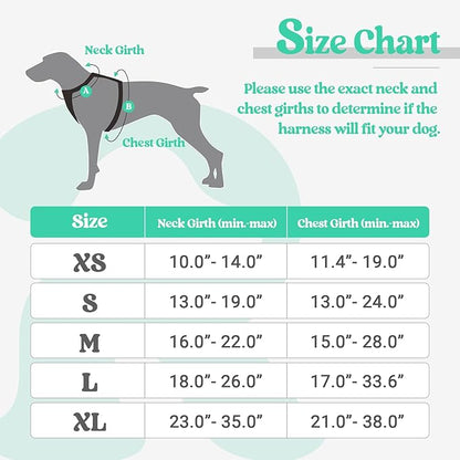 rabbitgoo Dog Harness, No-Pull Pet Harness with 2 Leash Clips, Adjustable Soft Padded Dog Vest, Reflective No-Choke Pet Oxford Vest with Easy Control Handle for Small Dogs, Turquoise, XS