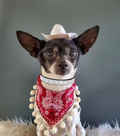 Diamond XS Dog Collar Girl, Bling Dog Collar with Rhinestone Crystal Glitter Female Dog Collars for Puppy XXS XS Small Dogs and Cats, Dark Red, XS