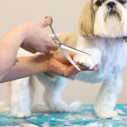 Dream Reach Professional Dog Grooming Straight, Curved, Thinning/Blending/Chunking Scissors Kit, JP-440C Stainless Steel Pet Cat Hair Cutting/Trimming Shears (7 inch-Curved Scissors)
