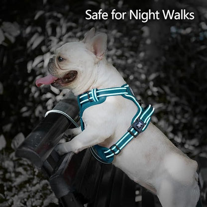 PoyPet No Pull Dog Harness, No Choke Reflective Dog Vest, Adjustable Pet Harnesses with 2 Leash Attachments with Easy Control Padded Handle for Small Medium Large Dogs(Tumalo Teal,XL)