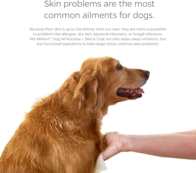 Pet Parents® Pet WiPees™ Dog All Purpose + Skin & Coat Pet Wipes, Pet Wipes for Dogs, Dog Wipes & Puppy Wipes, Paw Wipes for Dogs (100 Count (Pack of 1), Natural)