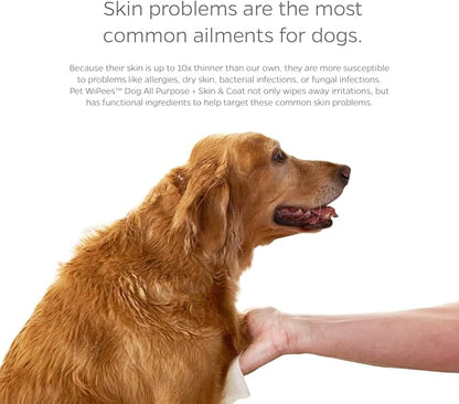 Pet Parents® Pet WiPees™ Dog All Purpose + Skin & Coat Pet Wipes, Pet Wipes for Dogs, Dog Wipes & Puppy Wipes, Paw Wipes for Dogs (100 Count (Pack of 1), Natural)