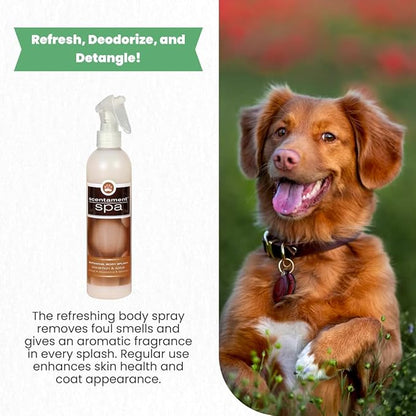 Best Shot Scentament Spa Botanical Body Splash, Body Spray Conditioner for Pets, Cat and Dog Cologne Spray, Alcohol-Free, Ready To Use, Cinnamon Spice, 8 Oz.