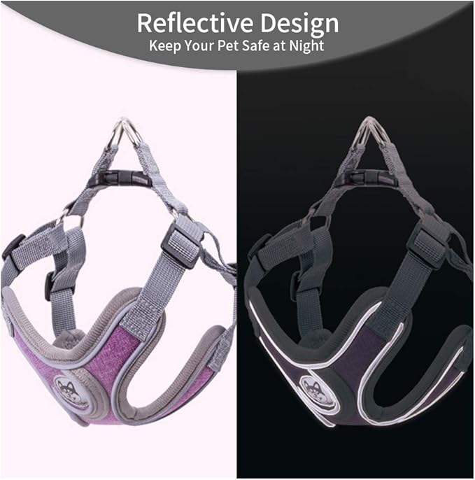Step-in Dog Harness, Adjustable Reflective Small Dog Harness and Leash Set, Soft Air Mesh Vest Kit for Small Medium Breed Puppy and Cats