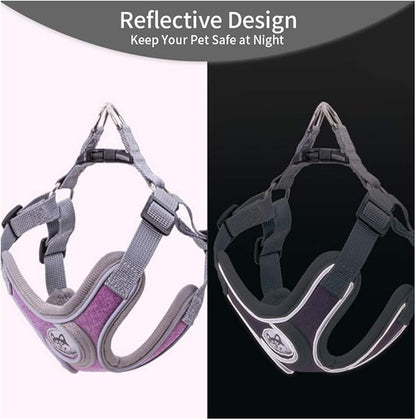 Step-in Dog Harness, Adjustable Reflective Small Dog Harness and Leash Set, Soft Air Mesh Vest Kit for Small Medium Breed Puppy and Cats