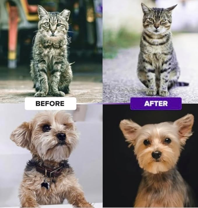 Pret & Lively Pet hair Dematting Tool, Tough Mats and Tangles, Undercoat Rake Comb, Dogs, Cats, Rabbits, & All Hairy Pets, Holiday Gift, Professional Grooming Brush For Deshedding, Extra Wide (Purple)