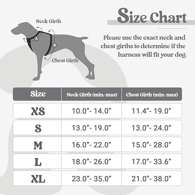 rabbitgoo Dog Harness, No-Pull Pet Harness with 2 Leash Clips, Adjustable Soft Padded Dog Vest, Reflective No-Choke Pet Oxford Vest with Easy Control Handle for Small Dogs, Grey, S