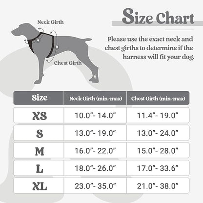 rabbitgoo Dog Harness, No-Pull Pet Harness with 2 Leash Clips, Adjustable Soft Padded Dog Vest, Reflective No-Choke Pet Oxford Vest with Easy Control Handle for Small Dogs, Grey, S