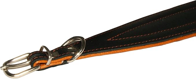 Real Leather Extra Wide Padded Tapered Dog Collar Glossy Black Greyhound Saluki Deerhound Lurcher Whippet Dachshund (11"-13" Neck; 2" Wide, Toffee)