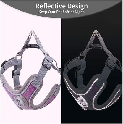 Step-in Dog Harness, Adjustable Reflective Small Dog Harness and Leash Set, Soft Air Mesh Vest Kit for Small Medium Breed Puppy and Cats